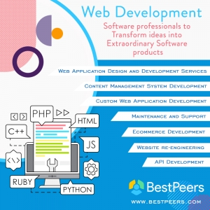 Bestpeers Infosystem | Professional Web Development Company 